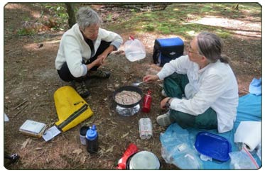Low-impact camping